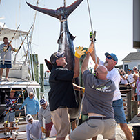 45th Annual Swansboro Rotary Bluewater Tournament