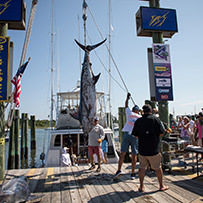45th Annual Swansboro Rotary Bluewater Tournament