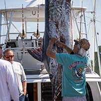 45th Annual Swansboro Rotary Bluewater Tournament