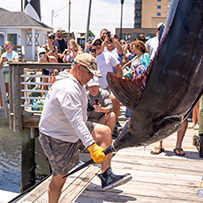 45th Annual Swansboro Rotary Bluewater Tournament