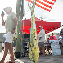 46th Annual Swansboro Rotary Bluewater Tournament