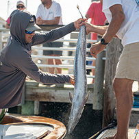 46th Annual Swansboro Rotary Bluewater Tournament