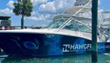 Hawgfin