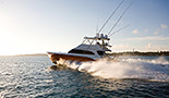 Marlin Fever