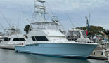 Reel Hauler