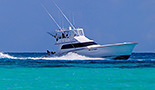 Sea Striker