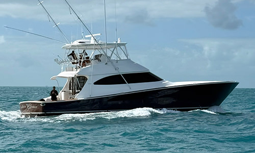 Southern Grace