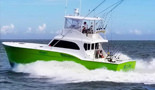 Wasabi