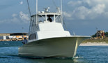 Yellowfin